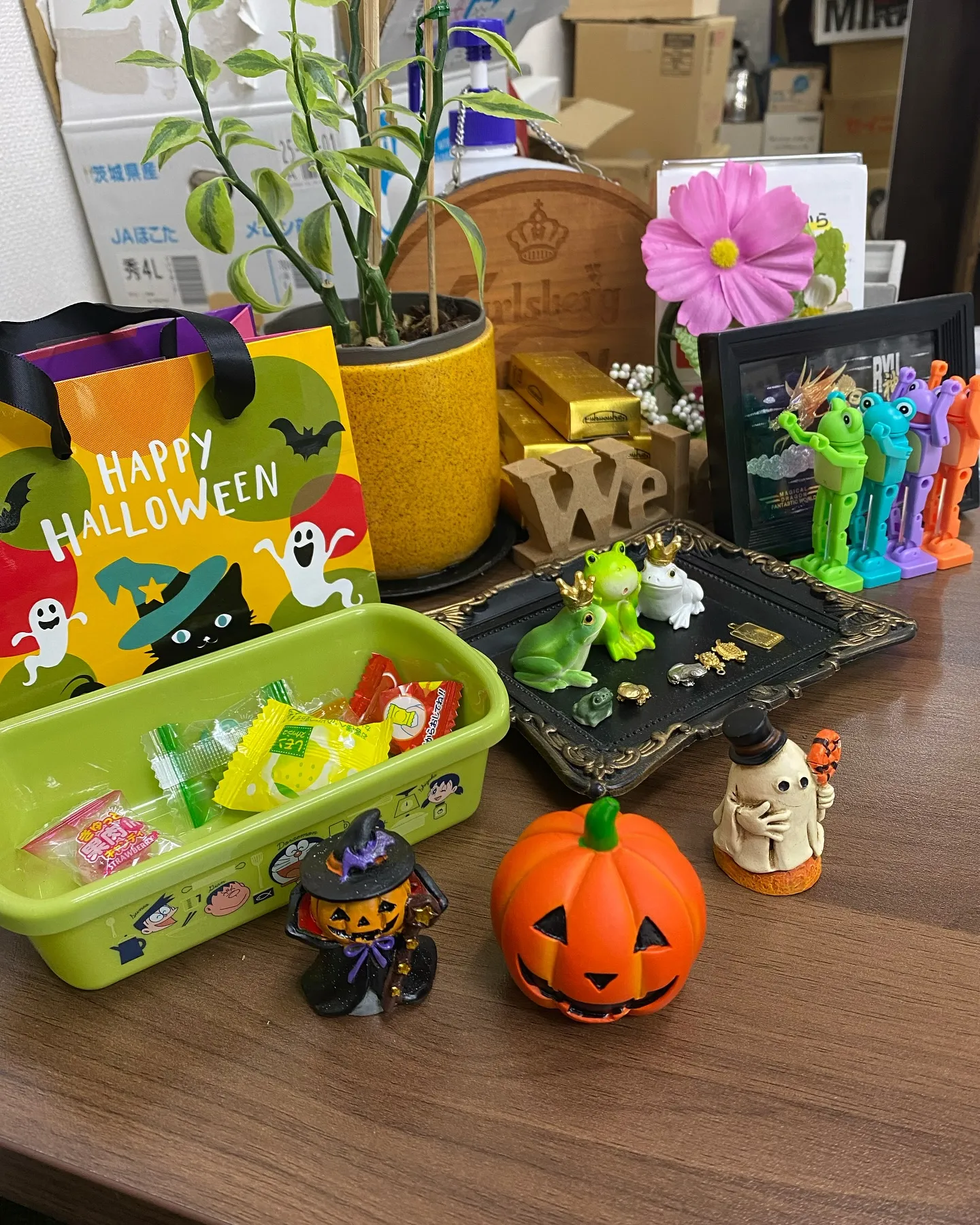 店内、ハロウィン気分です🎃