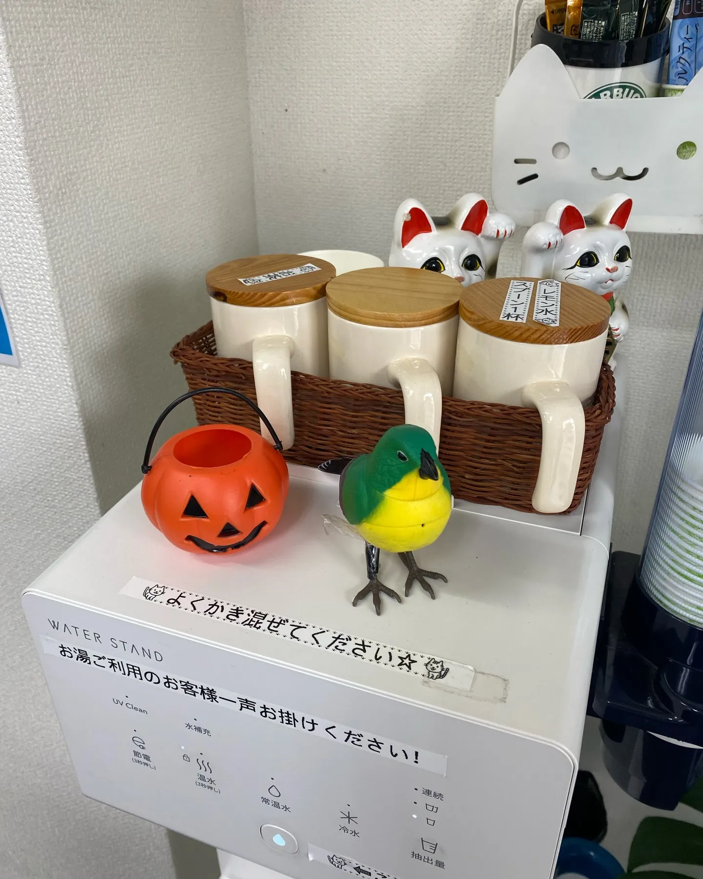 店内、ハロウィン気分です🎃