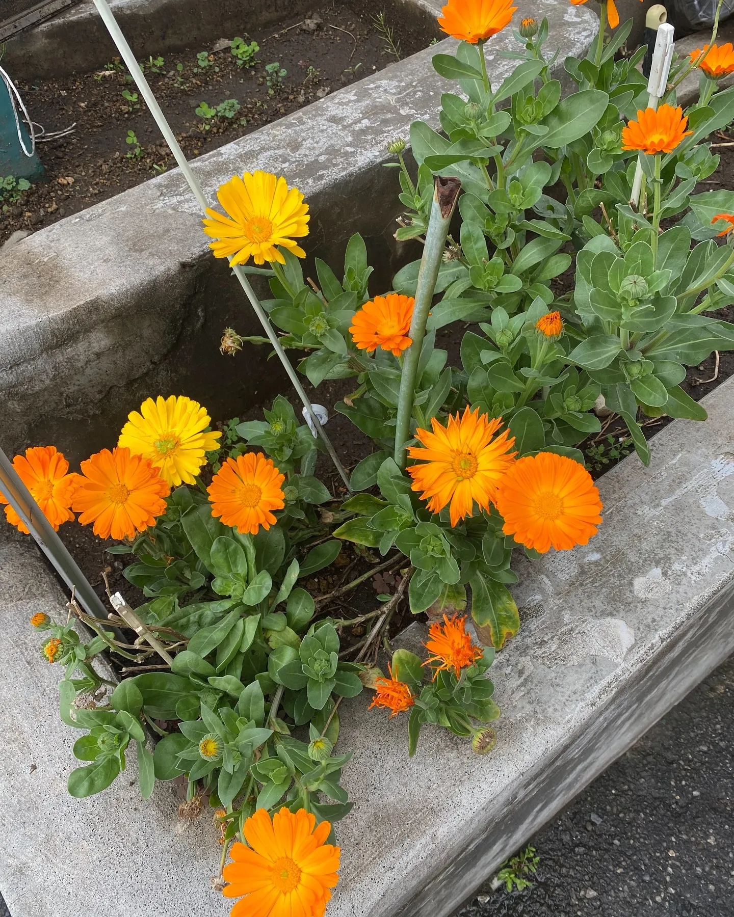 ［不用品回収］